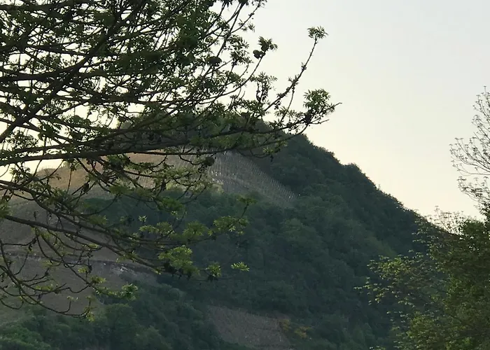 Gaestezimmer Klein Und Fein Fuer Nach Dem Wein